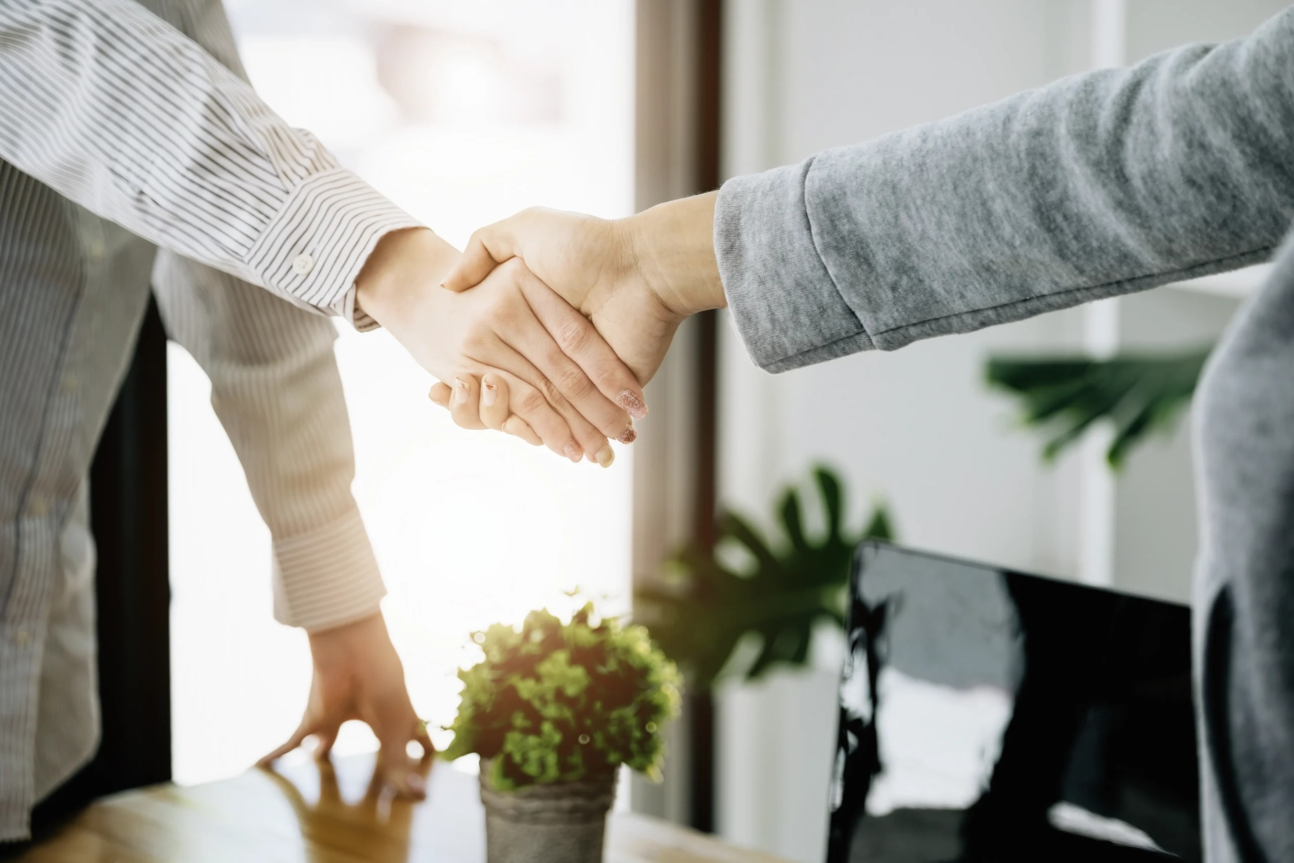 Hand shaking between two people
