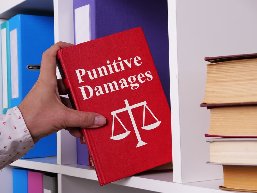 Punitive Damages - Exemplary measures in text form. 