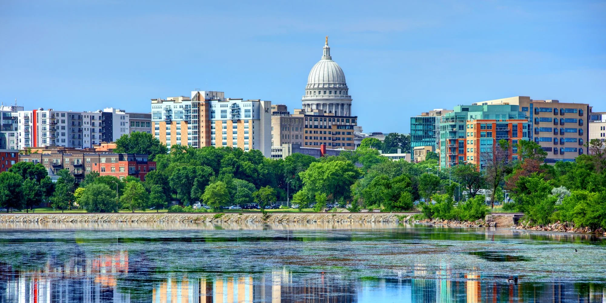 a skyline shot of the city of madison, wisconsin on a clear day with blue sky, the forefront has a body of water that reflects greenery and the city buildings