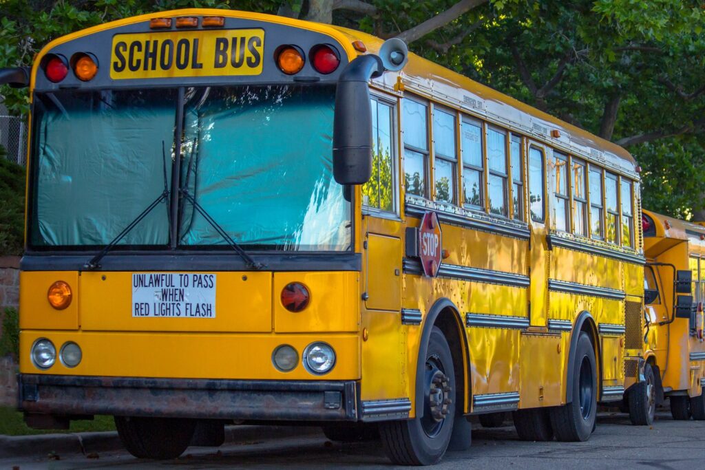 School buses parked in a row, representing a field trip a child was injured on